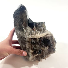 Load and play video in Gallery viewer, Large smoky quartz crystal cluster 4.35kg
