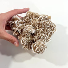 Load and play video in Gallery viewer, Large desert rose crystal cluster 1.31kg
