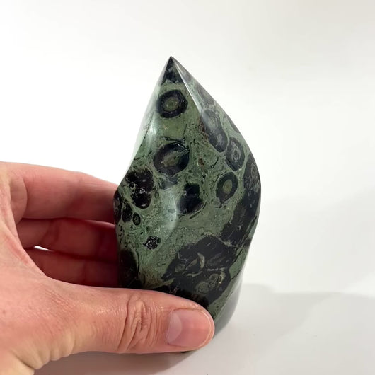 Kambaba jasper polished crystal flame | ASH&STONE Crystal Shop Auckland NZ