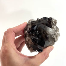 Load and play video in Gallery viewer, Smoky quartz crystal cluster | ASH&amp;STONE Crystal Shop Auckland NZ
