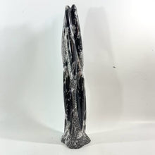 Load and play video in Gallery viewer, Large black Orthoceras fossilised sculpture 6.41kg | ASH&amp;STONE Crystal Shop Auckland NZ
