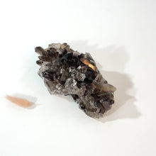 Load and play video in Gallery viewer, Smoky quartz crystal cluster

