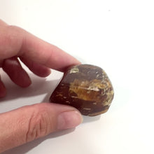 Load and play video in Gallery viewer, NZ hand polished kauri copal  | ASH&amp;STONE Crystals Shop Auckland NZ
