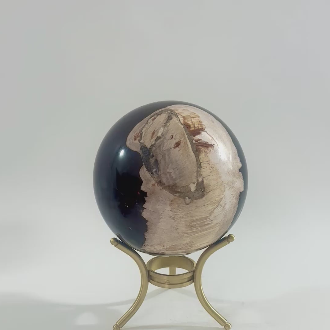 Petrified Wood Sphere with Stand | aSH & STONE. Premium crystals online. Free express shipping NZ