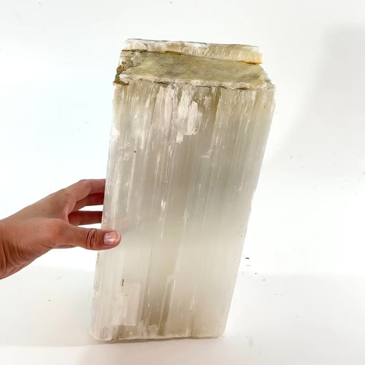 Large raw selenite crystal 10.3kg | ASH&STONE Crystal Shop Auckland NZ