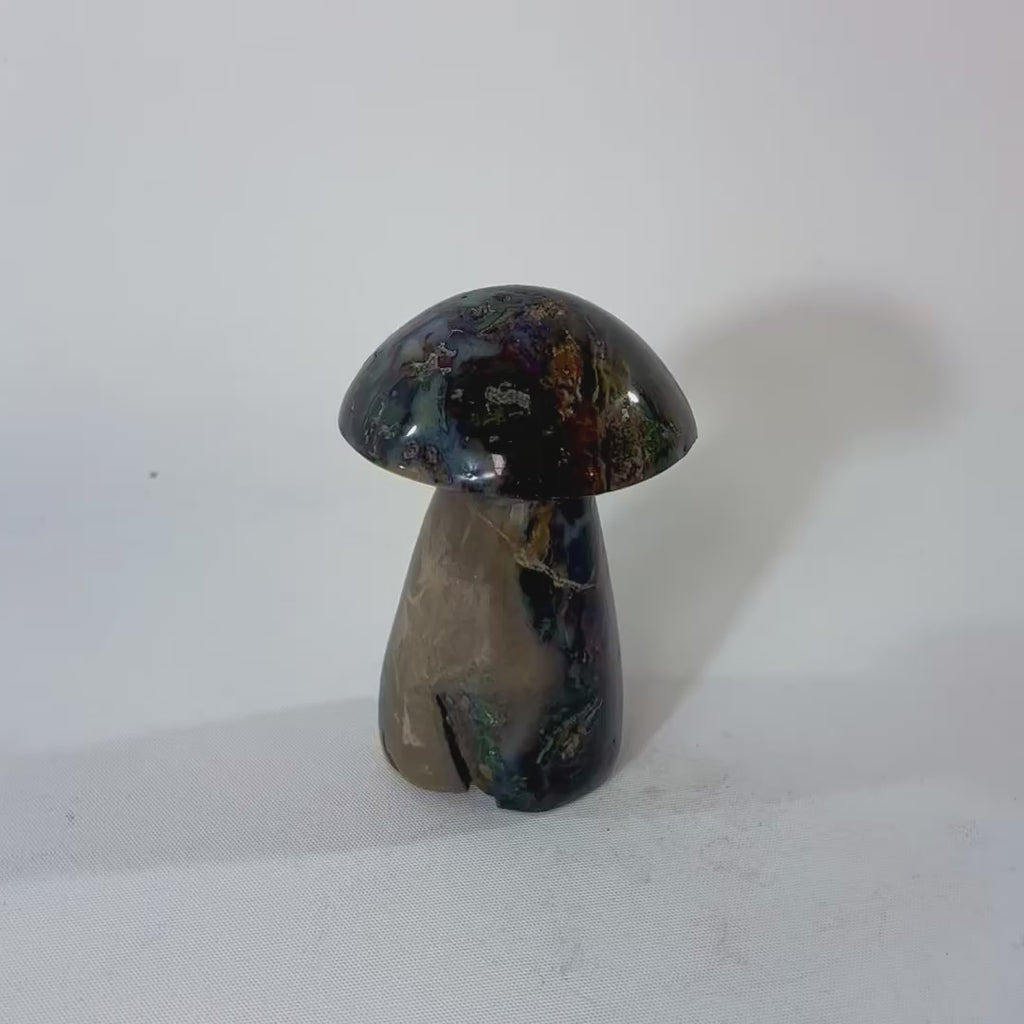 Ocean Jasper Mushroom \ ASH & STONE Premium online crystals. Free express shipping NZ 