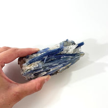Load and play video in Gallery viewer, Kyanite crystal chunk
