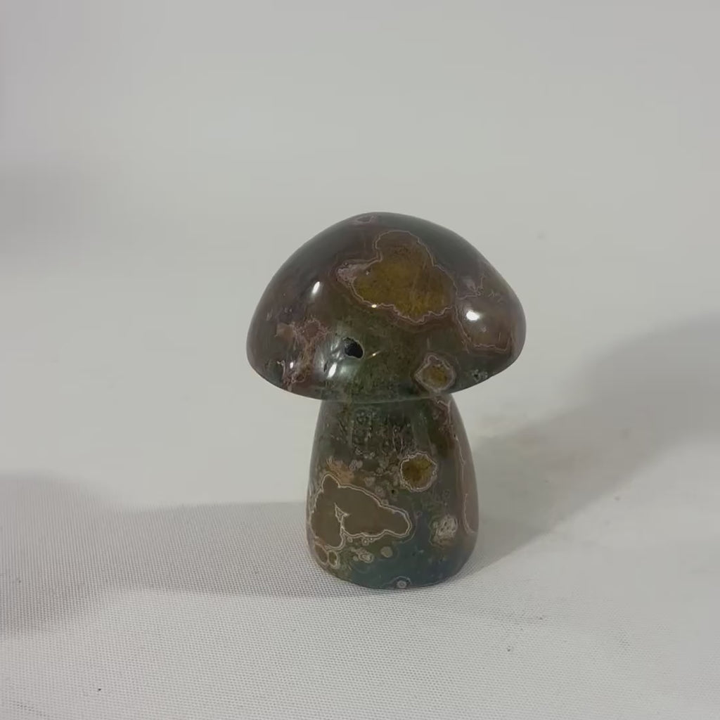 Ocean Jasper Mushroom | ASH & STONE. Premium online crystals Free express shipping NZ