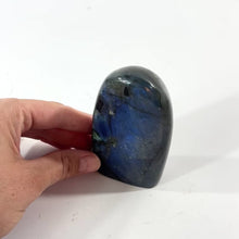 Load and play video in Gallery viewer, Labradorite polished crystal freeform | ASH&amp;STONE Crystal Shop Auckland NZ
