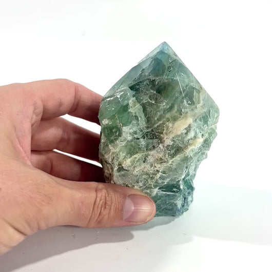 Fluorite crystal point  | ASH&STONE Crystal Shop Auckland NZ