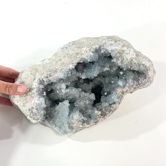 Large celestite crystal cluster 6.77kg | ASH&STONE Crystal Shop Auckland NZ