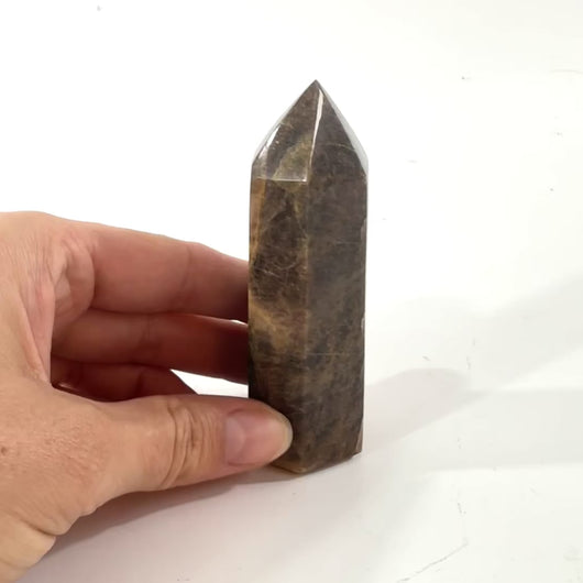 Black moonstone polished crystal generator | ASH&STONE Crystal Shop Auckland NZ