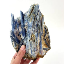 Load and play video in Gallery viewer, Large kyanite crystal cluster 3.37kg | ASH&amp;STONE Crystal Shop Auckland NZ
