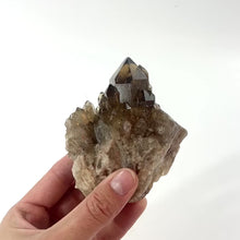 Load and play video in Gallery viewer, Kundalini Natural Citrine Clustered Crystal Point | ASH&amp;STONE Crystal Shop Auckland NZ
