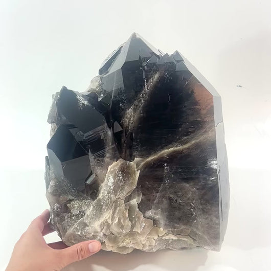 Large smoky quartz crystal clustered points 21.6kg | ASH&STONE Crystal Shop Auckland NZ