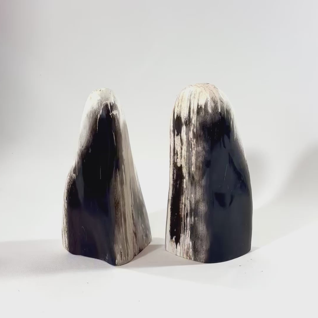 Petrified Wood Freeform | ASH & STONE. Premium online crystals. Free express shipping NZ.