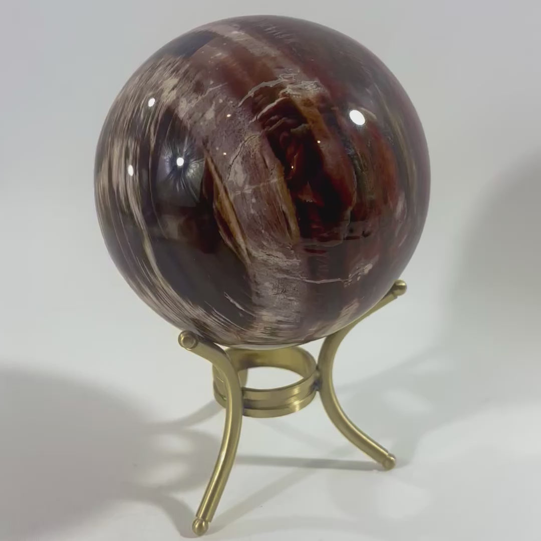 Petrified Wood Sphere | ASH & STONE Premium online crystals. Free express shipping NZ.