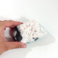 Load and play video in Gallery viewer, White bladed (angel wing) rose calcite crystal cluster | ASH&amp;STONE Crystals Shop Auckland NZ
