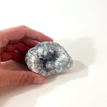 Load and play video in Gallery viewer, Celestite crystal cluster | ASH&amp;STONE Crystals Shop Auckland NZ
