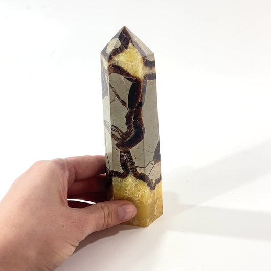 Septarian polished crystal generator | ASH&STONE Crystals Shop Auckland NZ