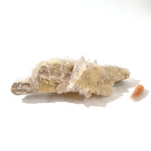 Load and play video in Gallery viewer, Himalayan clear quartz crystal cluster | ASH&amp;STONE Crystals Shop Auckland NZ
