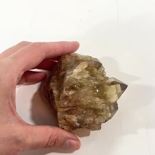 Kundalini Natural Citrine Clustered Crystal Point | ASH&STONE Crystal Shop Auckland NZ