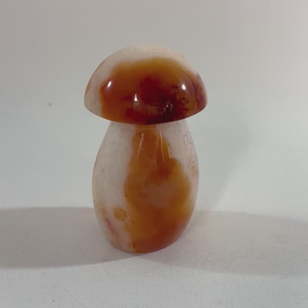 Carnelian Mushroom | ASH & STONE Premium onine crystals. free express shipping NZ
