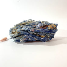 Load and play video in Gallery viewer, Large kyanite crystal chunk 2.3kg | ASH&amp;STONE Crystals Shop Auckland NZ
