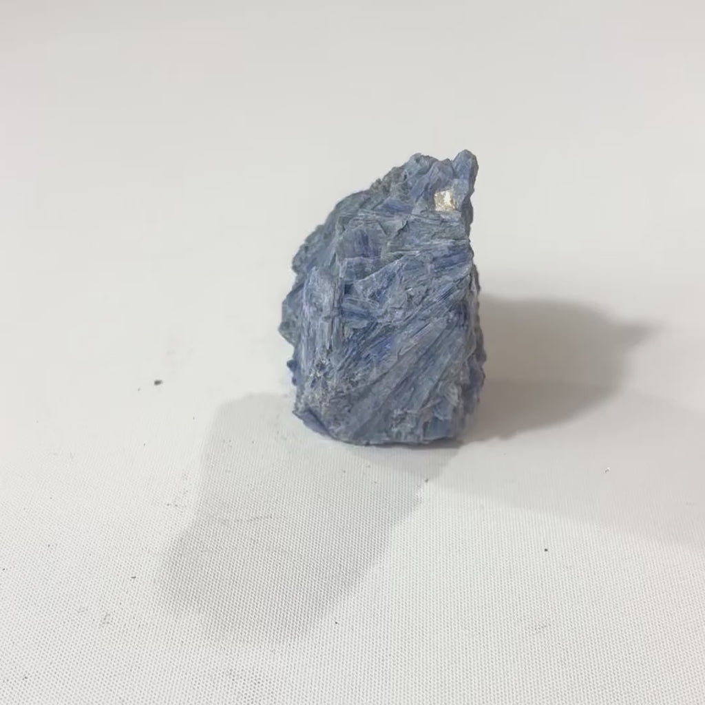 Kyanite Crystal Cluster | ASH & STONE Free express shipping. Buy high quality ethical crystals online at
ASH&STONE crystal shop Auckland NZ. AfterPay available.