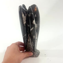 Load and play video in Gallery viewer, Black Orthoceras fossilised sculpture | ASH&amp;STONE Crystal Shop Auckland NZ
