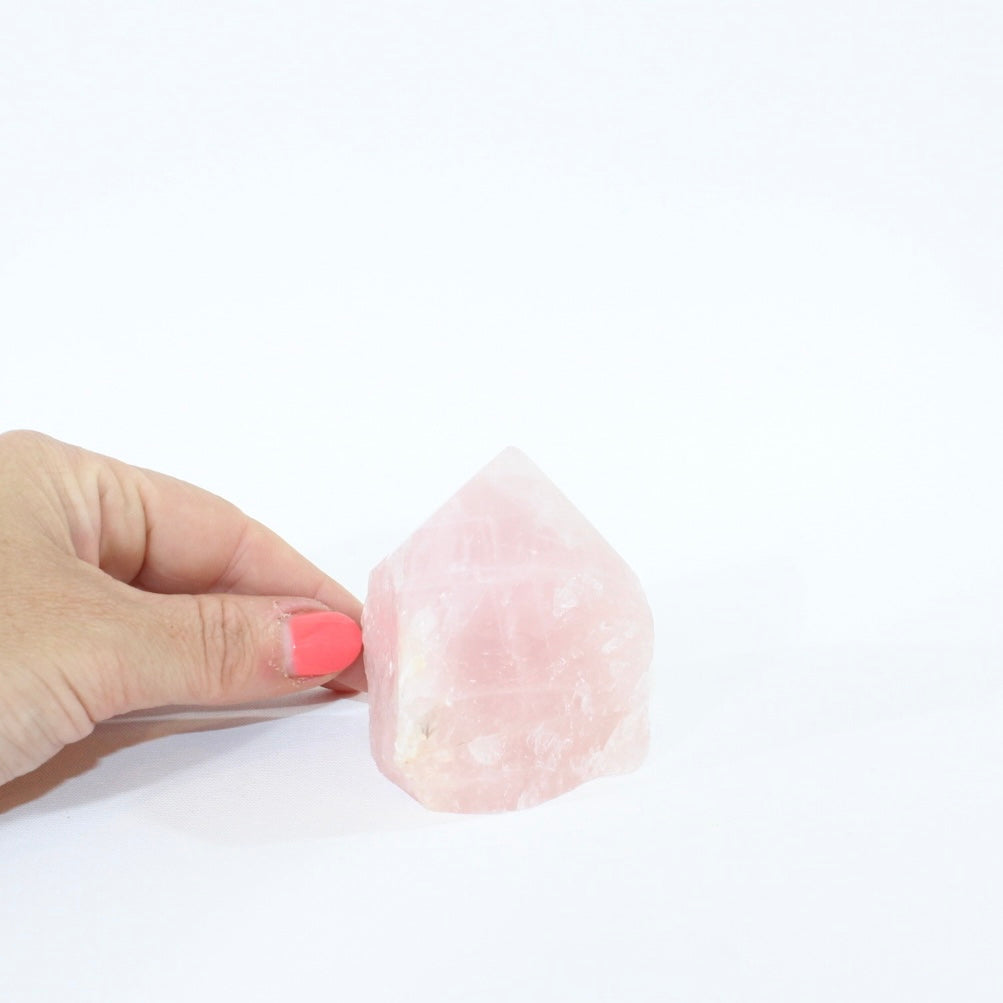 Rose Quartz Crystal Point | ASH & STONE premium crystals online. Free express shipping  NZ wide 
