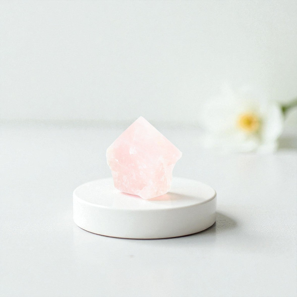 Rose Quartz Crystal Point | ASH & STONE premium crystals online. Free express shipping  NZ wide 