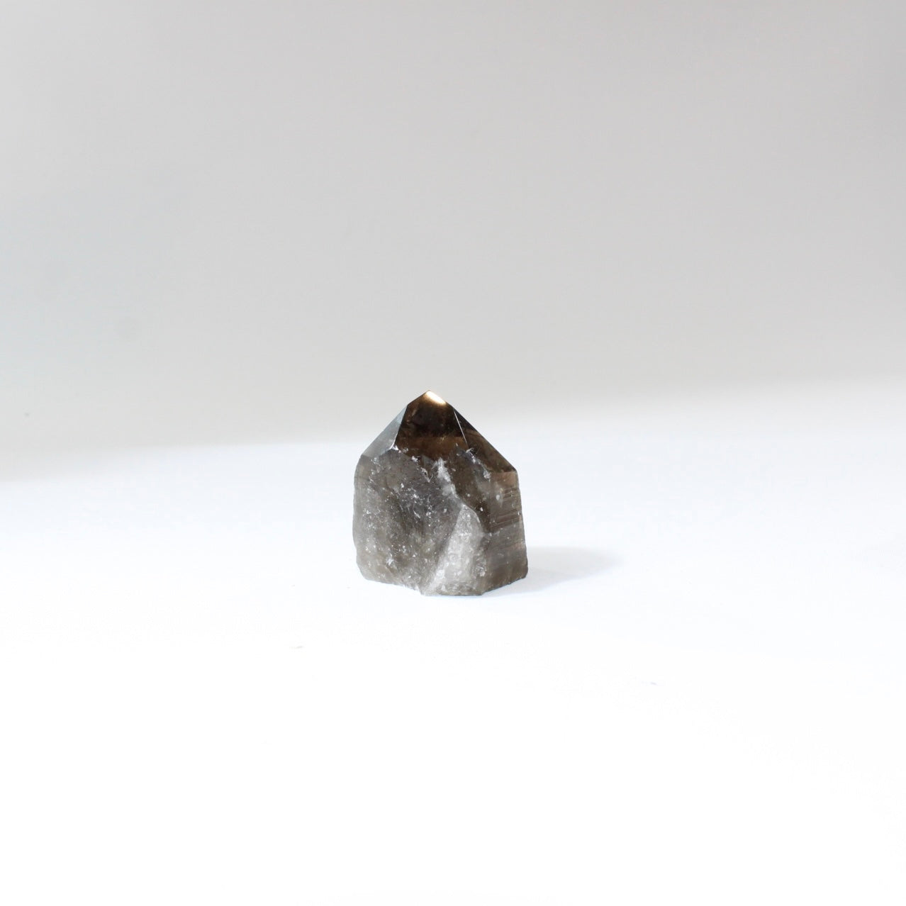 Smoky Quartz Polished Point Crystal | Free express shipping. Shop crystals online from ASH&STONE  crystal shop Auckland NZ. AfterPay available.