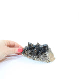 Smoky Quartz Crystal cluster | ASH & STONE, Crystals online from NZ. Free express shipping
