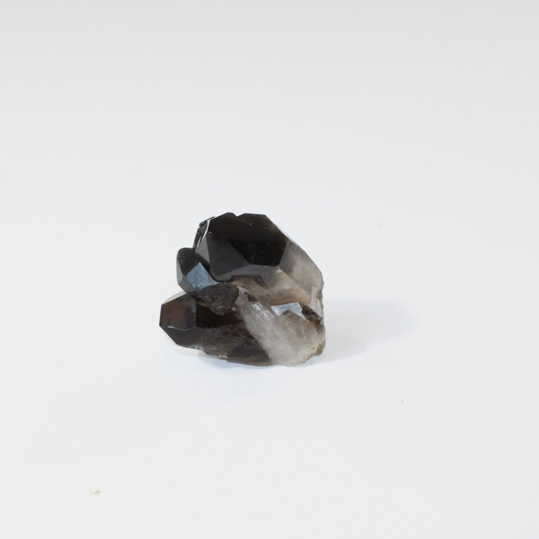 Smoky Quartz | ASH&STONE Crystal Shop Auckland NZ