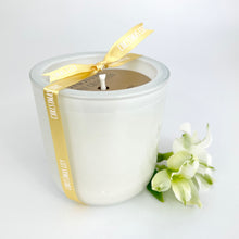 Load image into Gallery viewer, Candles NZ Made: Large Artisan Soy Candle: Christmas Lily
