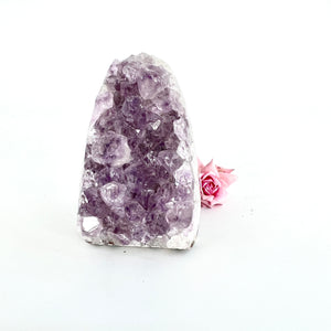 Crystals NZ: Lavender amethyst crystal cluster cut base