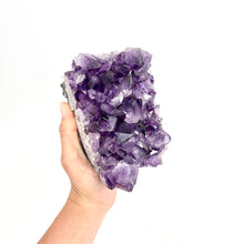 Load image into Gallery viewer, Crystals NZ: Large A-Grade amethyst crystal cluster 1.9kg
