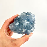 Crystals NZ: Celestite crystal cluster