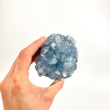 Crystals NZ: Celestite crystal cluster