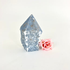 Crystals NZ: Angelite crystal point