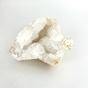 Crystals NZ: Clear quartz crystal geode half 1.2kg