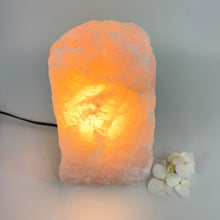 Load image into Gallery viewer, Large Crystal Lamps NZ: Large rose quartz crystal lamp 5.1kg
