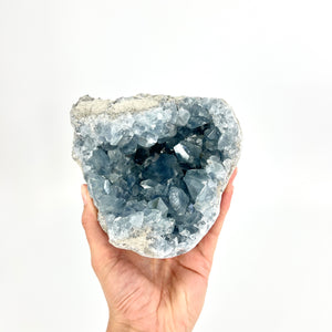 Large Crystals NZ: Large celestite crystal cluster - 2.4kg