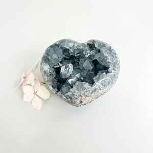 Crystals NZ: Celestite crystal heart 1.49kg