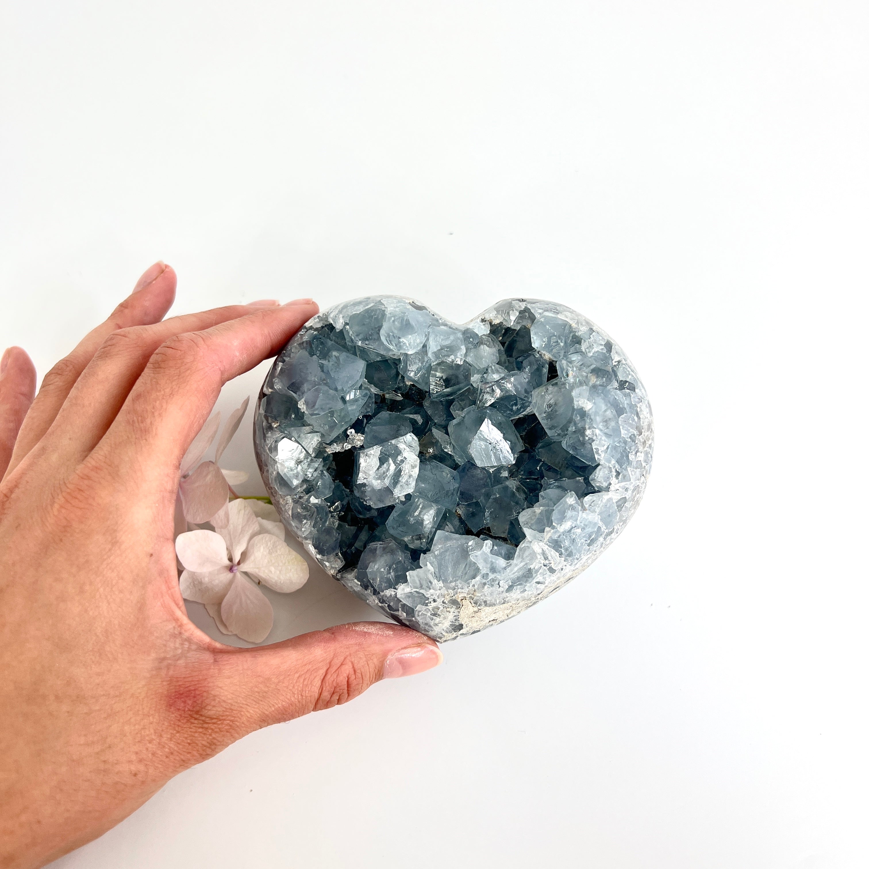 Crystals NZ: Celestite crystal heart 1.49kg