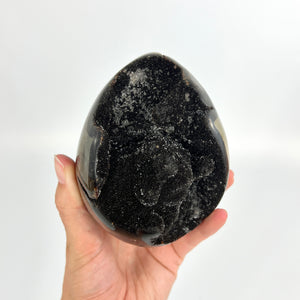 Large Crystals NZ: Black septarian crystal egg 1.37kg