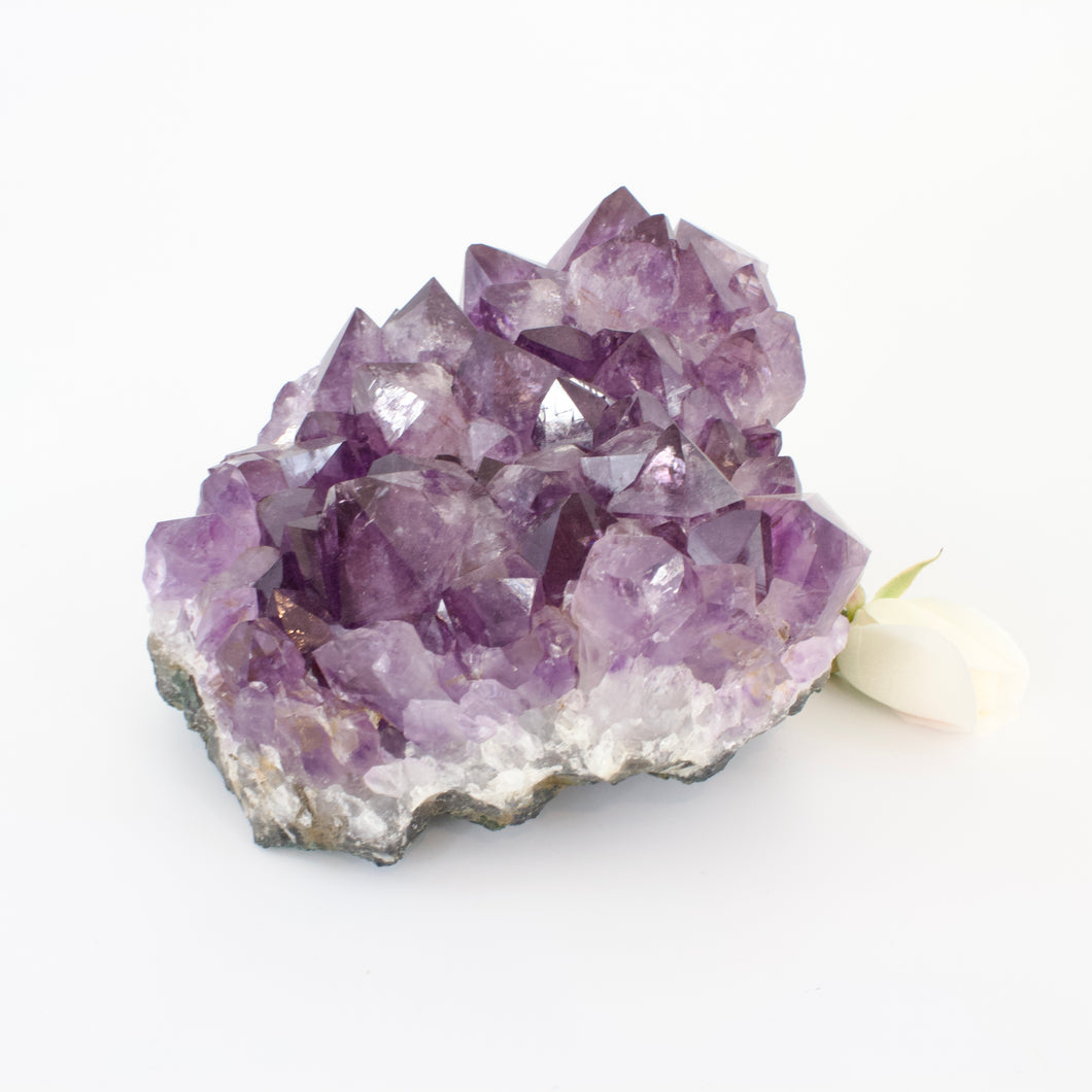 Large Crystals NZ: Large a-grade amethyst crystal cluster 1.5kg