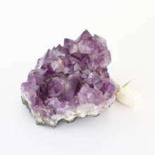 Load image into Gallery viewer, Large Crystals NZ: Large a-grade amethyst crystal cluster 1.5kg
