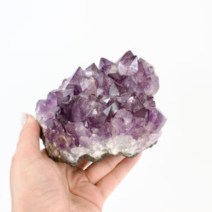Large Crystals NZ: Large a-grade amethyst crystal cluster 1.5kg
